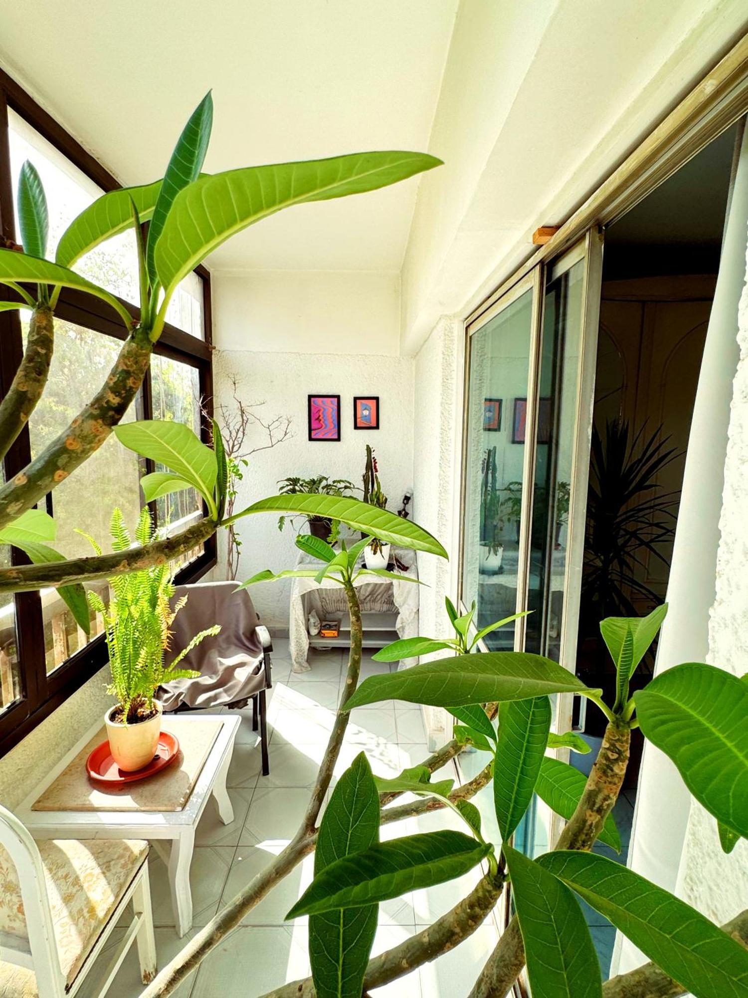 Large Room With Its Own Balcony El El Cairo Exterior foto